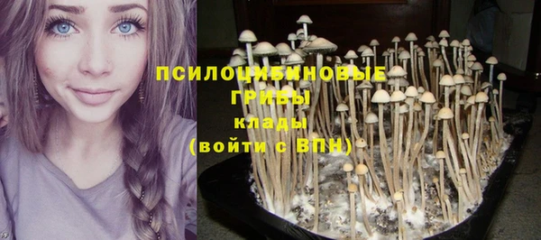 каннабис Арсеньев